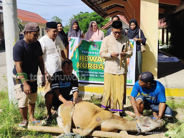 Suasana Penyembelihan Hewan Kurban dilingkungan Kantor DPRD Pohuwato.