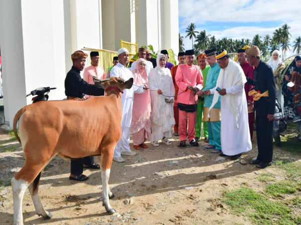 Penyerahan Secara Simbolis Hewan Kurban. Foto : Iwan Karim